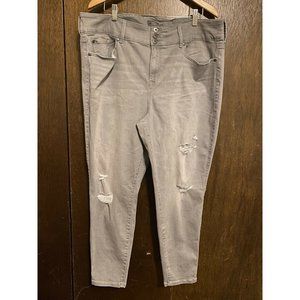 Womens Plus Size Torrid Jeggings Size 24R Gray